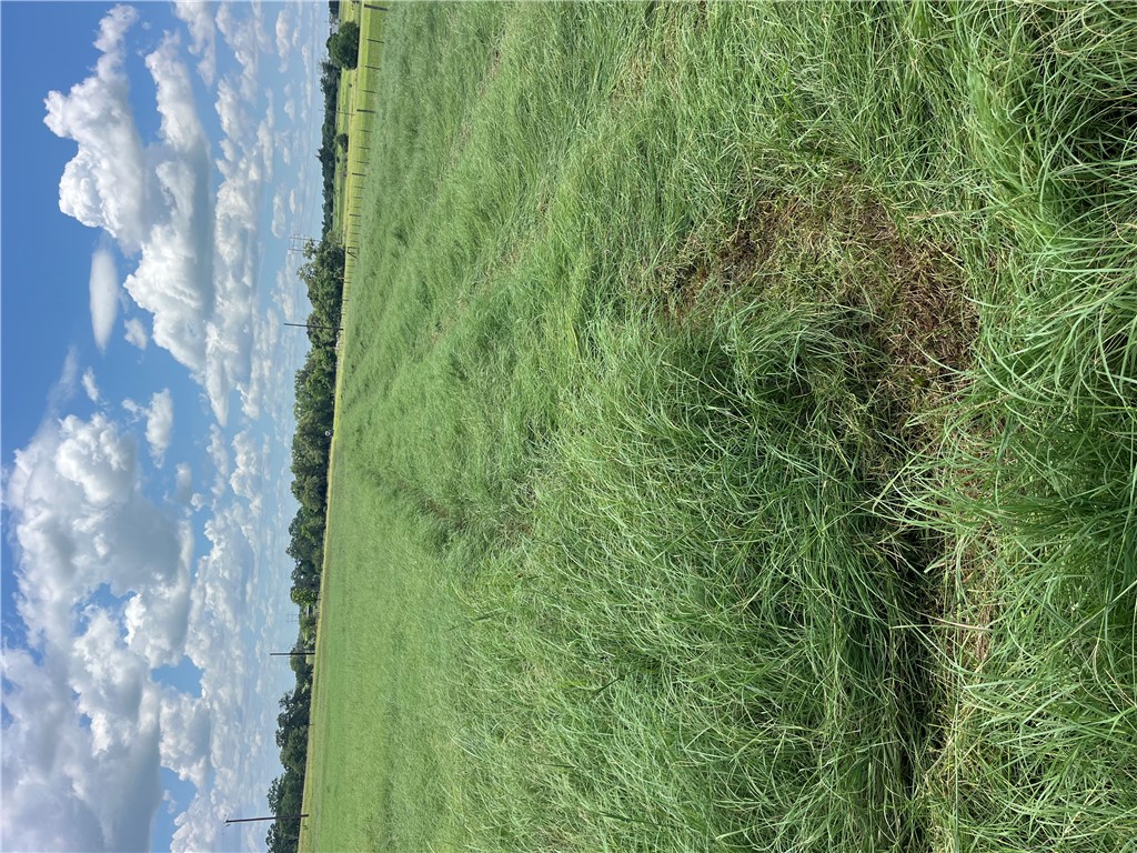 7303 Bickham Cemetery Road