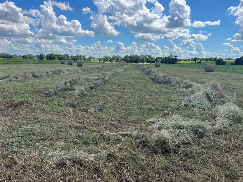 7303 Bickham Cemetery Road