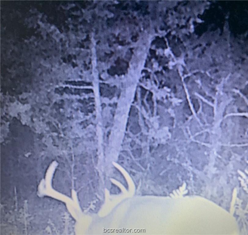 38.28 AC PR 5787 FM 937 Off Road