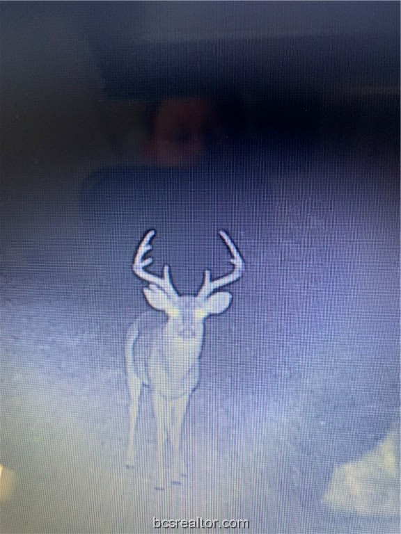 38.28 AC PR 5787 FM 937 Off Road