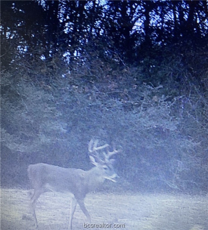 38.28 AC PR 5787 FM 937 Off Road