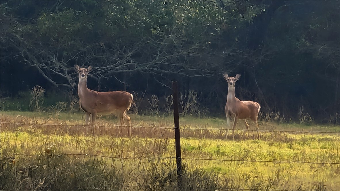 0000 Tract 3 River Ridge Rd