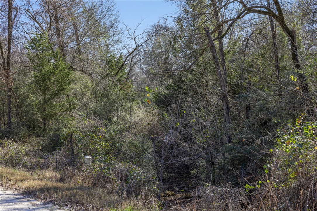 0000 Tract 3 River Ridge Rd