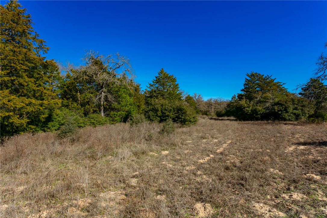 10162 County Road 321