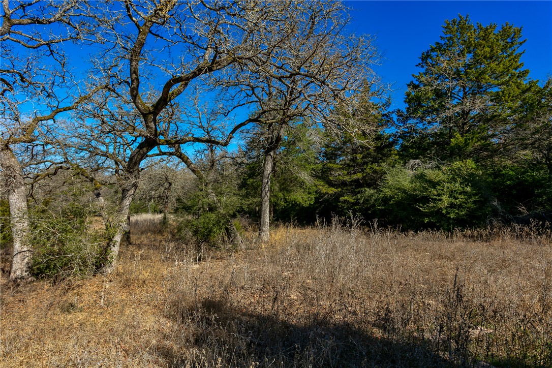 10162 County Road 321