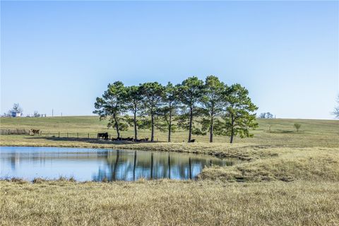 Tiny photo for 3151 Running River Lane, Washington, TX 77880 (MLS # 26001288)
