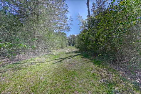 Tiny photo for 8595 Jared Road, Bellville, TX 77418 (MLS # 26009814)