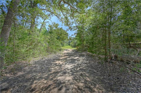 Tiny photo for 8595 Jared Road, Bellville, TX 77418 (MLS # 26009814)
