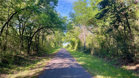Tiny photo for 10432 Sammys Rd (+/-89 acres) RD, Bremond, TX 76629 (MLS # 26005616)