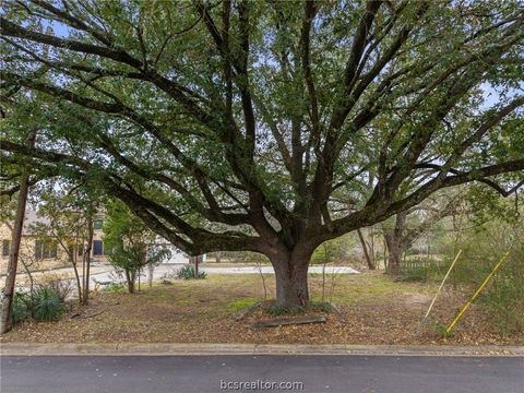 Tiny photo for 409 N Hutchins St, Bryan, TX 77803 (MLS # 26001694)