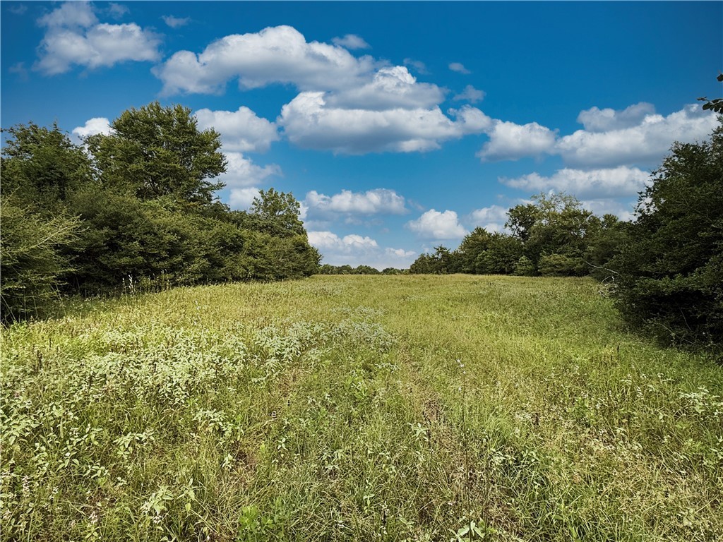 TBD Old Hickory Grove Rd. CountyRoad NE