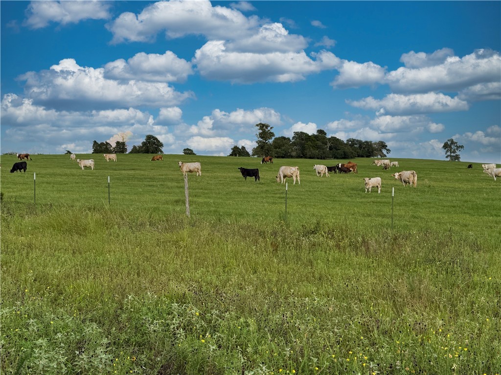 TBD Old Hickory Grove Rd. CountyRoad NE