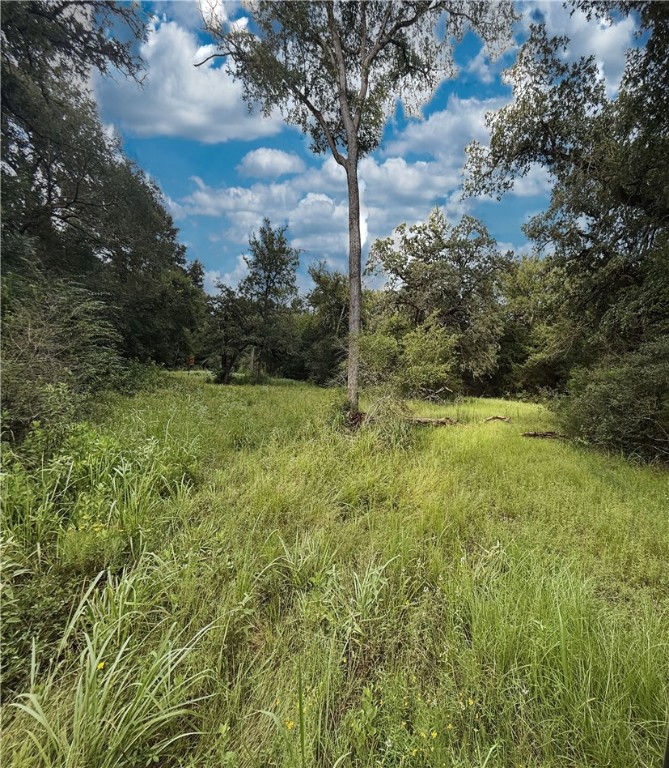 TBD Old Hickory Grove Rd. CountyRoad NE