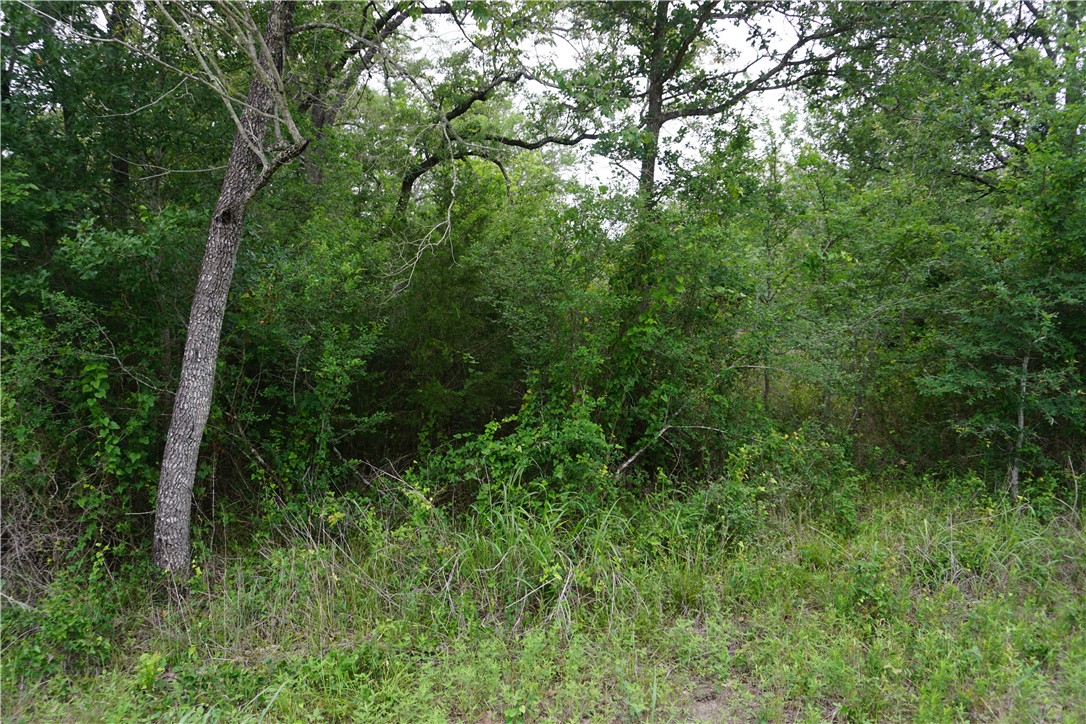 TBD Creek Side Cir