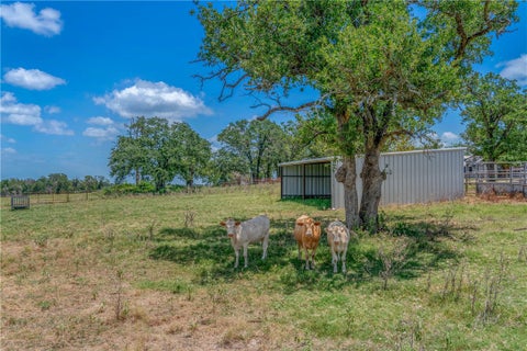 Tiny photo for 798 LCR 703 (+/-163 ac.), Kosse, TX 76653 (MLS # 26012547)