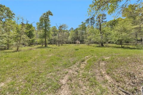 Tiny photo for 17174 Tierra Buena Drive, Plantersville, TX 77363 (MLS # 26003911)