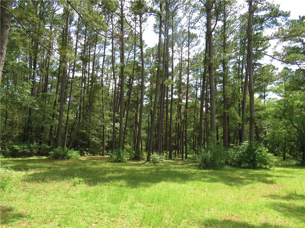 4542 Evergreen Forest Lane