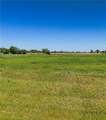 9866 PANTHER CREEK RD, IOLA, TX 77861 - Image a128711fc382e83702e2b2bceff332f9/303004913