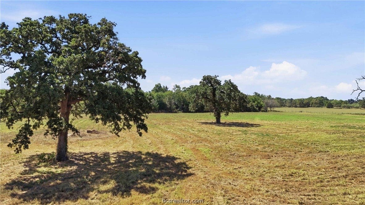 10.51 Acres FM 979