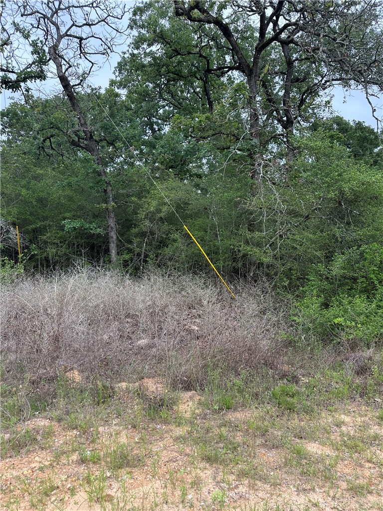 31 Ranch Road Drive