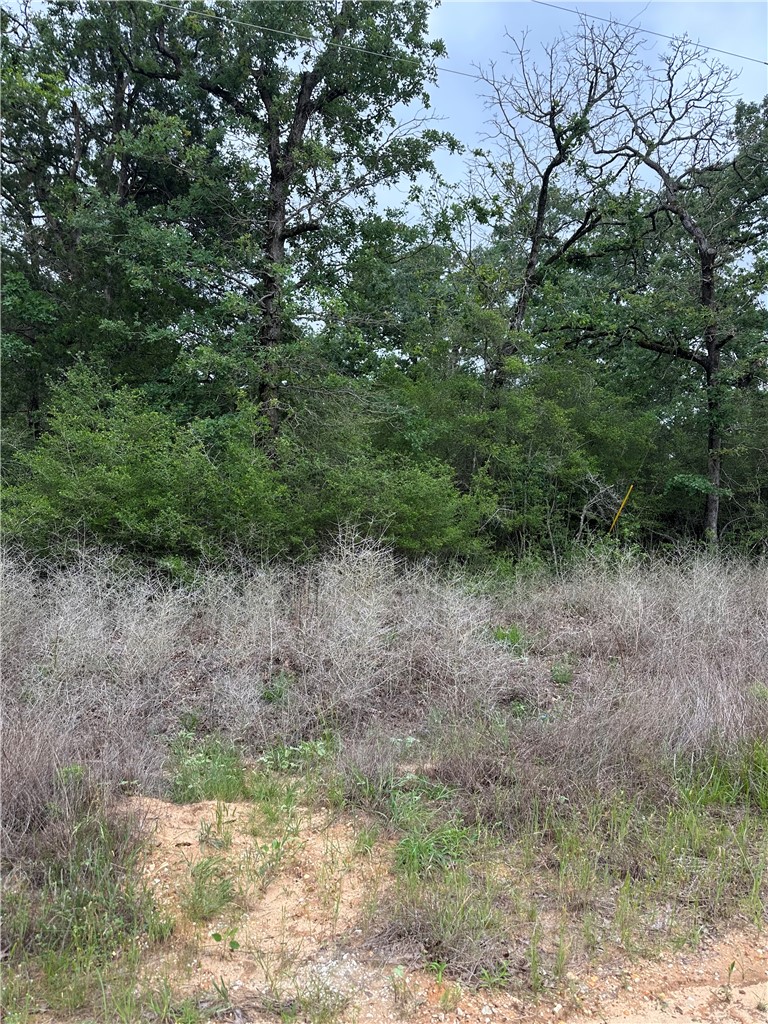 31 Ranch Road Drive