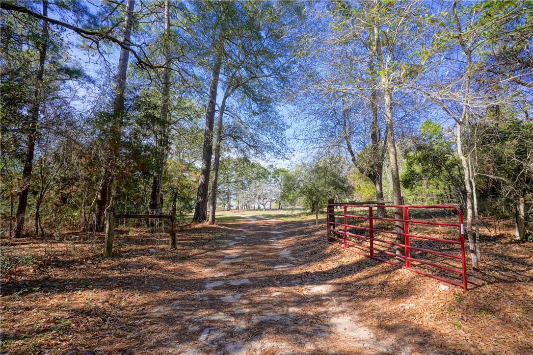 10713 County Road 446