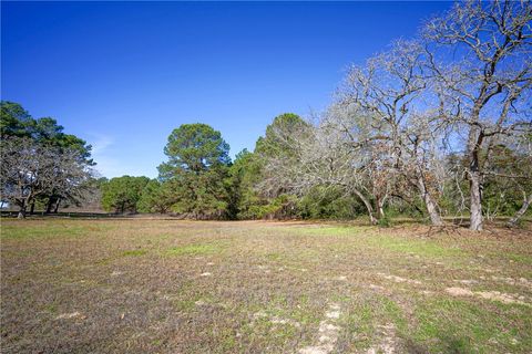 Tiny photo for 10713 County Road 446, Navasota, TX 77868 (MLS # 26000097)