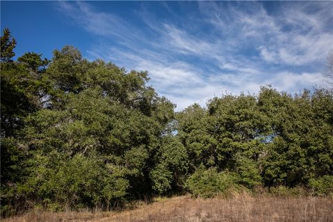 Tiny photo for 11107 Mt Falls School Road, Washington, TX 77880 (MLS # 26001311)