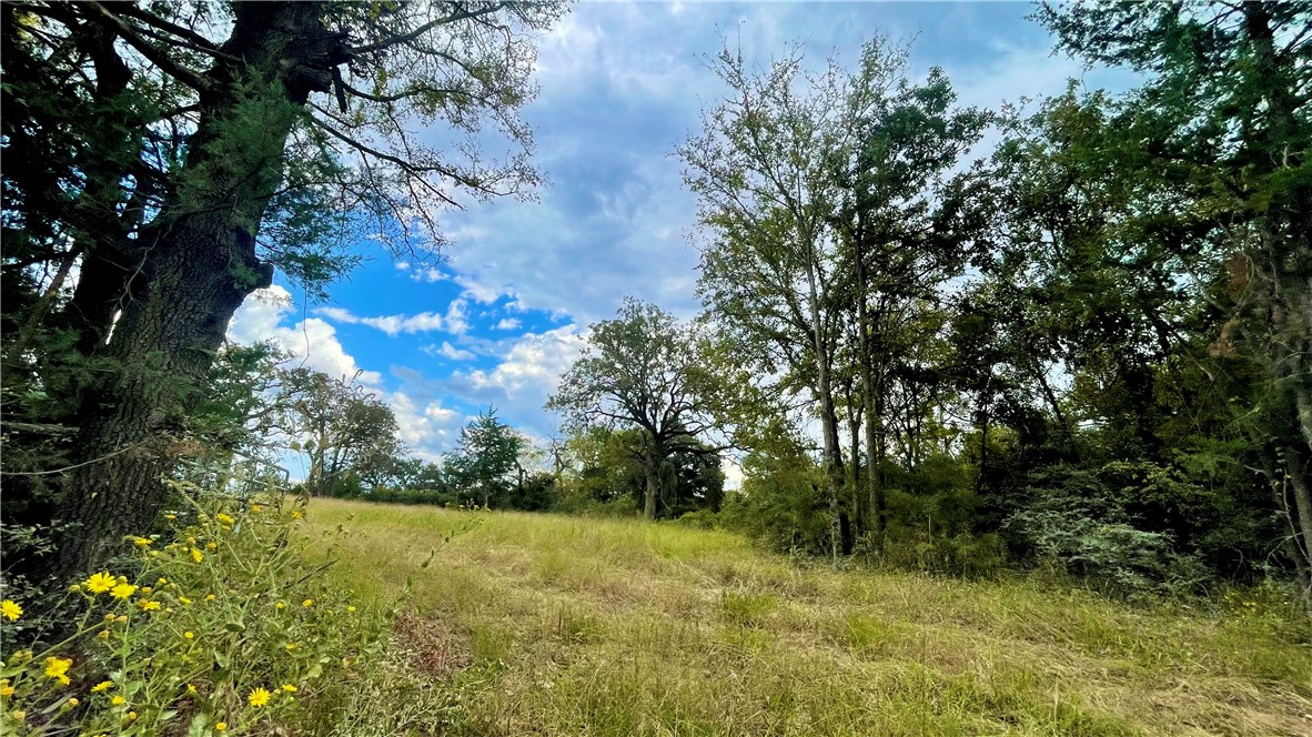 1509 Henry Prairie Rd (+/-4.654 acres)