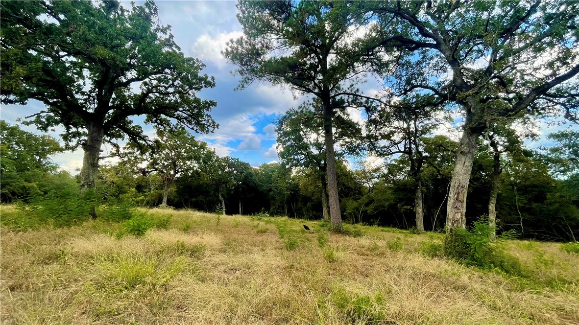 1509 Henry Prairie Rd (+/-4.654 acres)