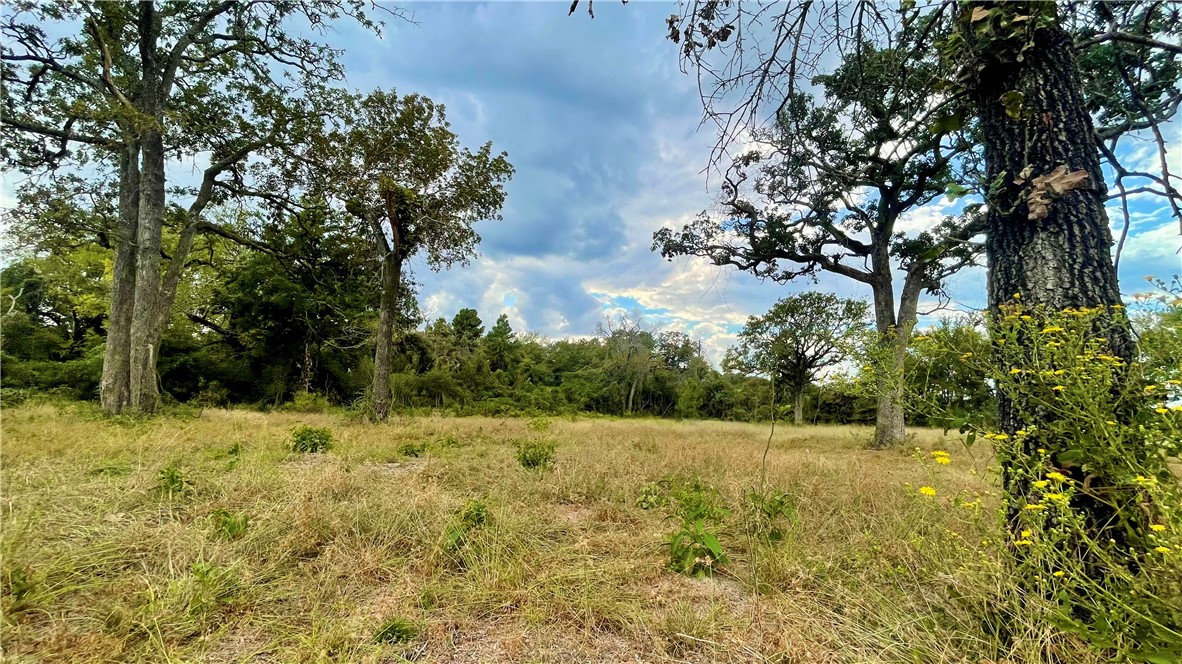 1509 Henry Prairie Rd (+/-4.654 acres)