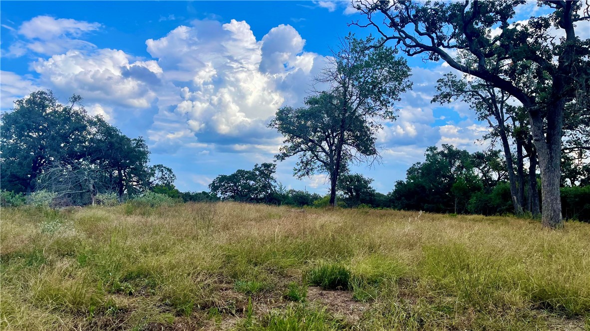 1509 Henry Prairie Rd (+/-4.654 acres)