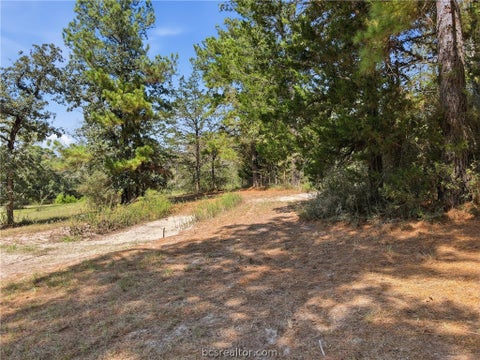 Tiny photo for 11939 Kidd Lane, Bedias, TX 77831 (MLS # 26011783)