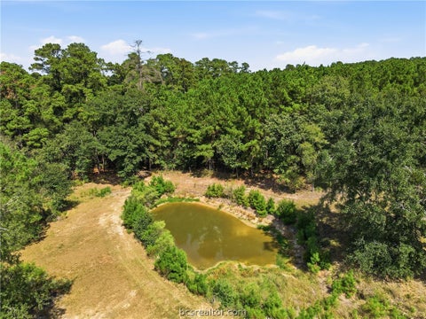 Tiny photo for 11939 Kidd Lane, Bedias, TX 77831 (MLS # 26011783)