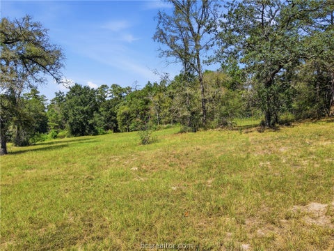 Tiny photo for 11939 Kidd Lane, Bedias, TX 77831 (MLS # 26011783)