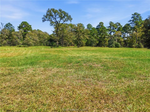 Tiny photo for 11939 Kidd Lane, Bedias, TX 77831 (MLS # 26011783)