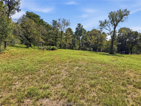 Tiny photo for 11939 Kidd Lane, Bedias, TX 77831 (MLS # 26011783)