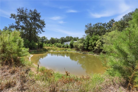 Tiny photo for 11939 Kidd Lane, Bedias, TX 77831 (MLS # 26011783)