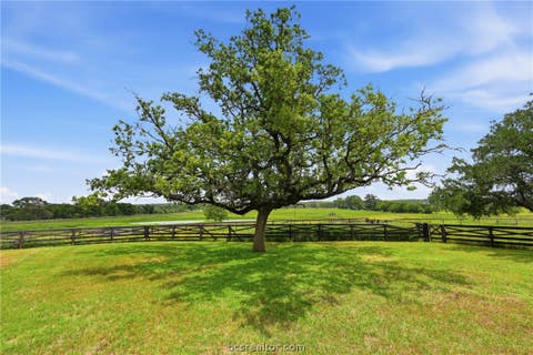 Tiny photo for 13350 Hopes Creek Road, College Station, TX 77845 (MLS # 26006812)