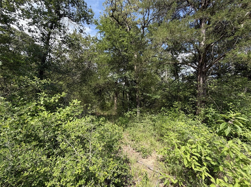 TBD Sawmill Rd
