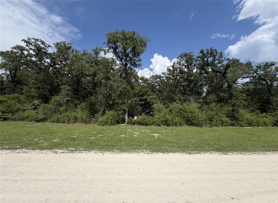 ADDRESS PRIVATE, CALVERT, TX 77837 - Image a5e20a8b2a32ac8e8bd37215c8a55e05/41284414