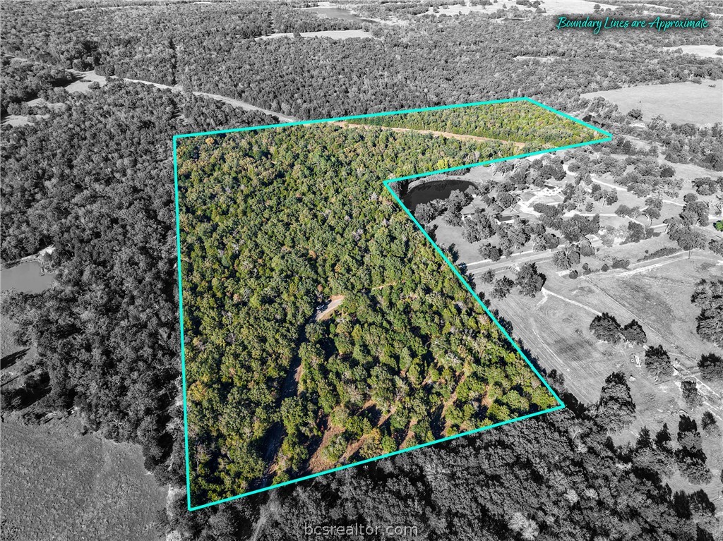 45 Acres FCR 930