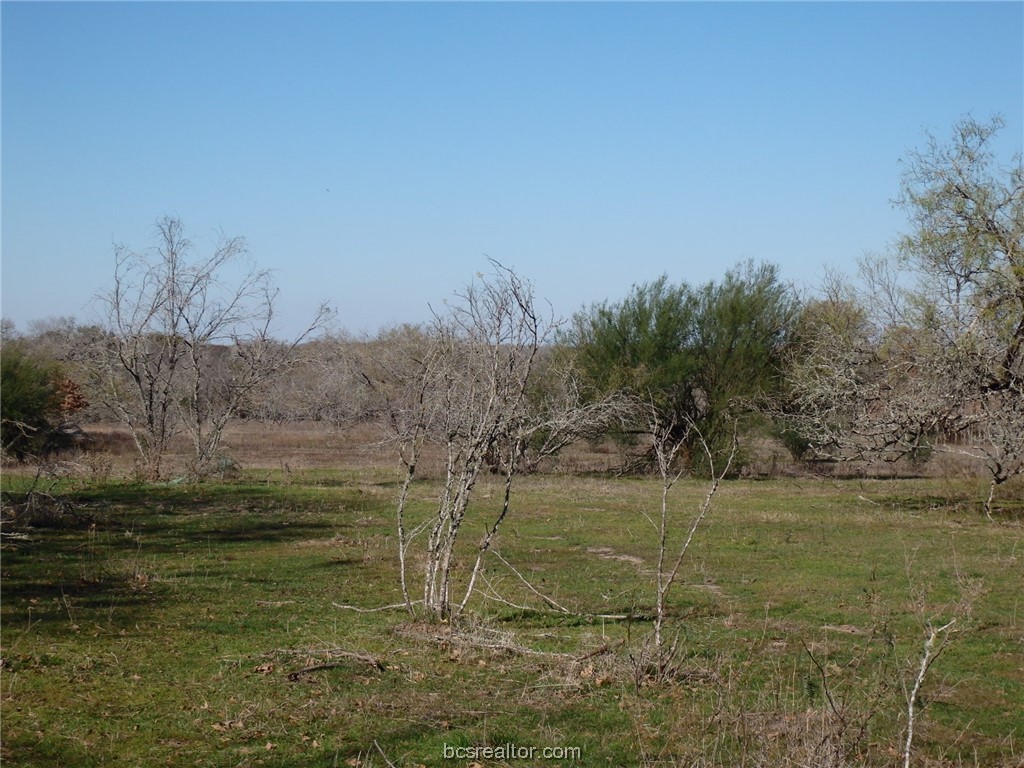 16914 County Road 163