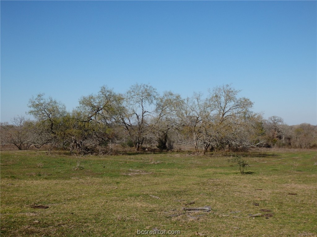 16914 County Road 163