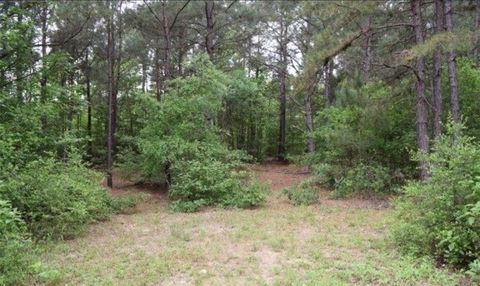 Tiny photo for 5325 County Road 2291, Centerville, TX 75833 (MLS # 26003149)