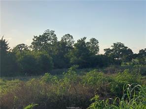 Iola, Texas 77861, United States, ,Land,Active,161950