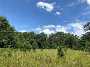 Iola, Texas 77861, United States, ,Land,Active,161950