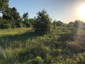 Iola, Texas 77861, United States, ,Land,Active,161950