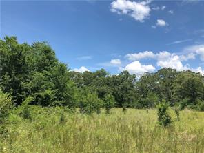 Iola, Texas 77861, United States, ,Land,Active,161950