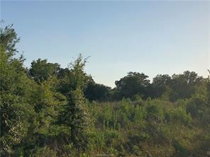 Iola, Texas 77861, United States, ,Land,Active,161950